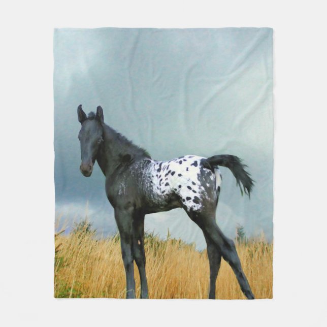 Cheval - couverture d'ouatine de colt d'Appaloosa (Devant)