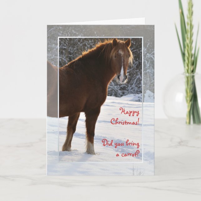 Cheval dans la carte de Noël de neige (Devant)