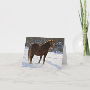 Cheval dans la carte de Noël de neige
