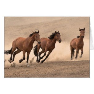 Cheval dans l'automne II