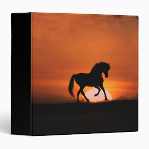 Cheval dans le Sunset 3 Classeur de ceinture