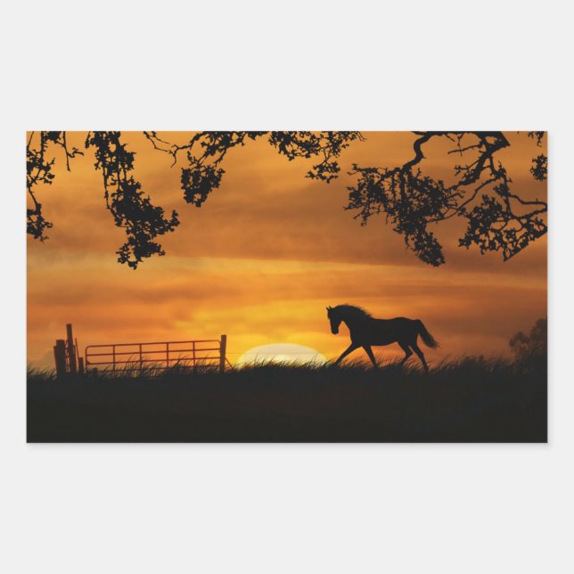 Cheval dans Sticker coucher de soleil (Devant)