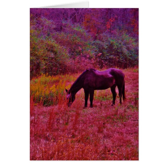 Cheval dans un champ de couleur Kaleidoscope (Devant)
