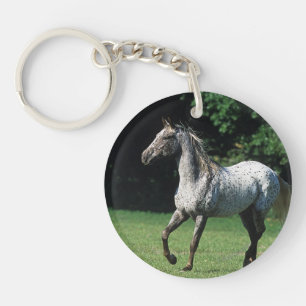 Cheval d'Appaloosa courant 2