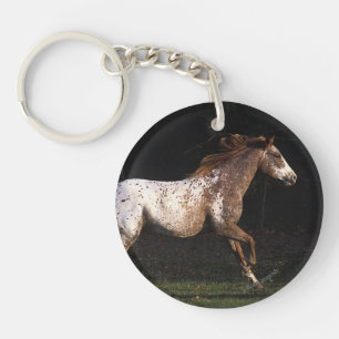 Cheval d'Appaloosa courant 4