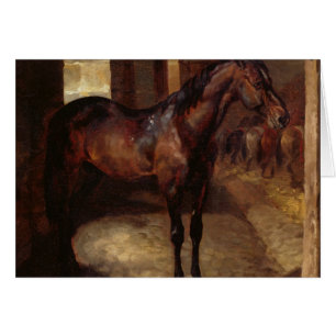 Cheval de baie foncé dans l'écurie