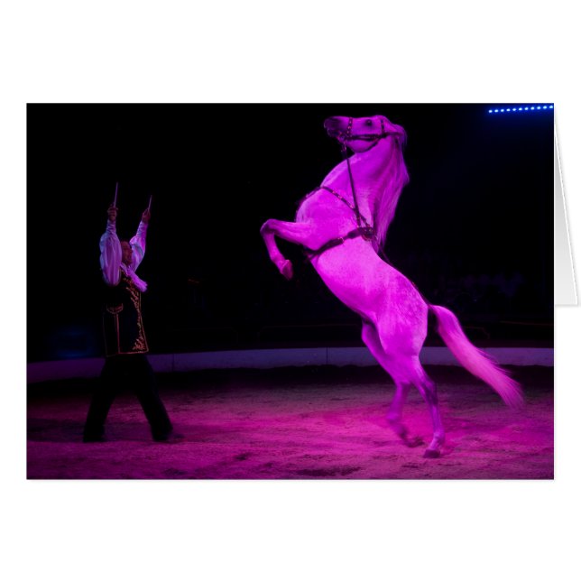 Cheval de cirque rose (Devant horizontal)
