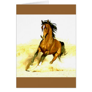 Cheval de course