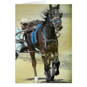 Cheval de course standard