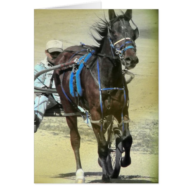 Cheval de course standard (Devant)
