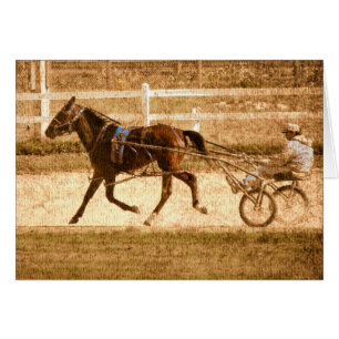Cheval de course standard
