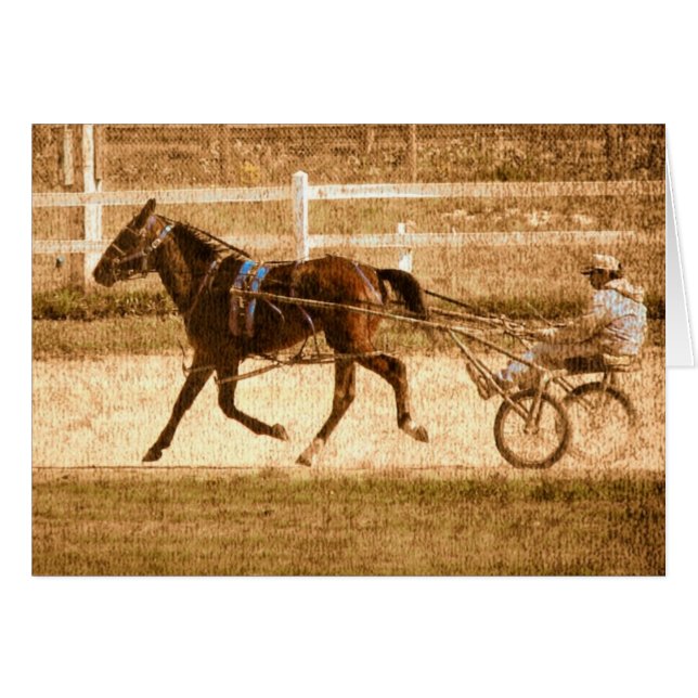Cheval de course standard (Devant horizontal)