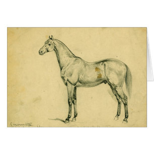 Cheval de guerre du Général Grant