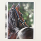 Cheval de la baie Thoroughbred Dressage de sang ch