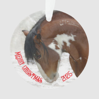 Cheval de neige - Acrylique de Noël