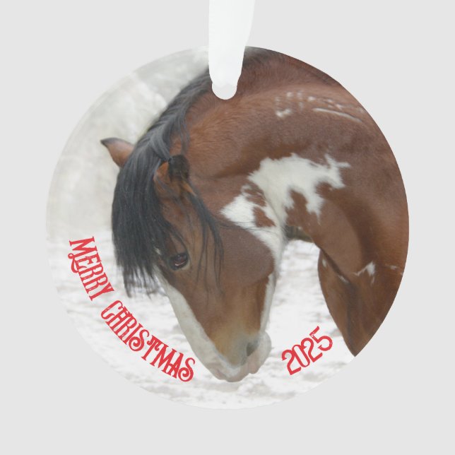 Cheval de neige - Acrylique de Noël (devant)