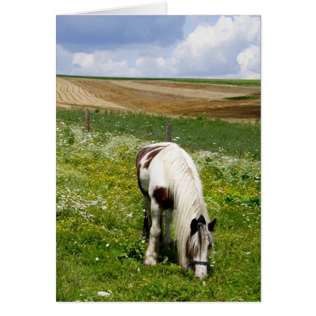 Cheval de pâturage (Devant)