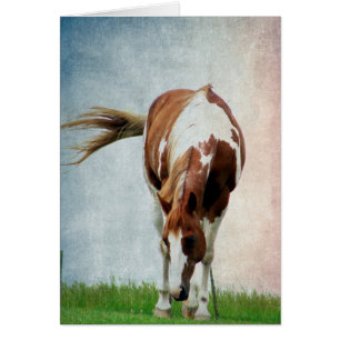 Cheval de peinture clinquant Mare