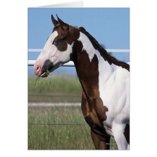 Cheval de peinture debout