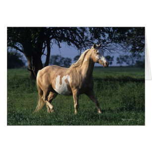 Cheval de peinture debout 2
