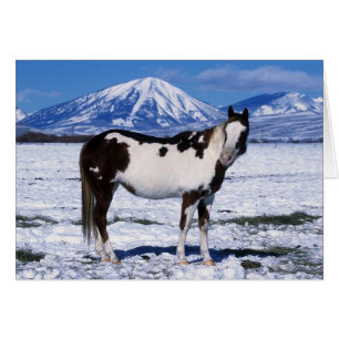 Cheval de peinture debout dans la neige