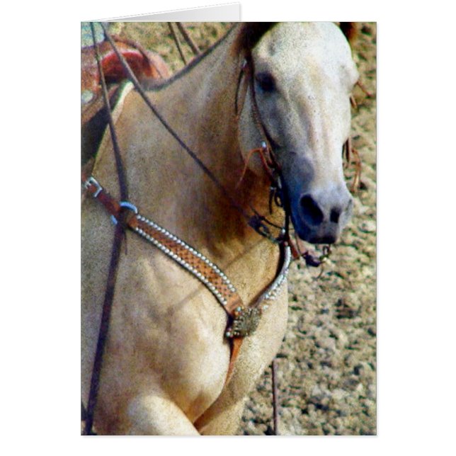 Cheval de rodéo Buckskin (Devant)