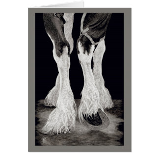 Cheval de trait de Shire "de plumes fraîches" -