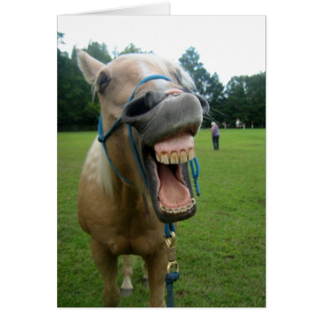 Cheval de Yawning (Devant)