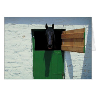 Cheval déposé avec porte française