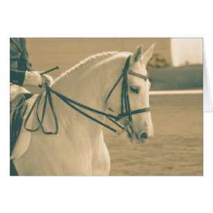 Cheval Dressage