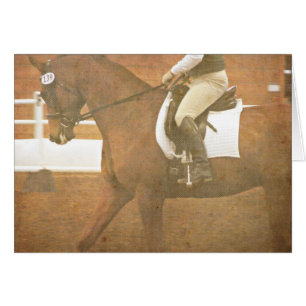Cheval Dressage 139