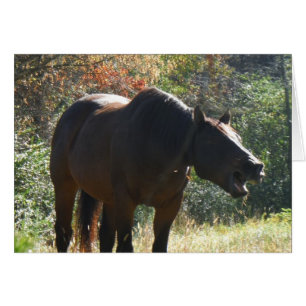 Cheval en automne