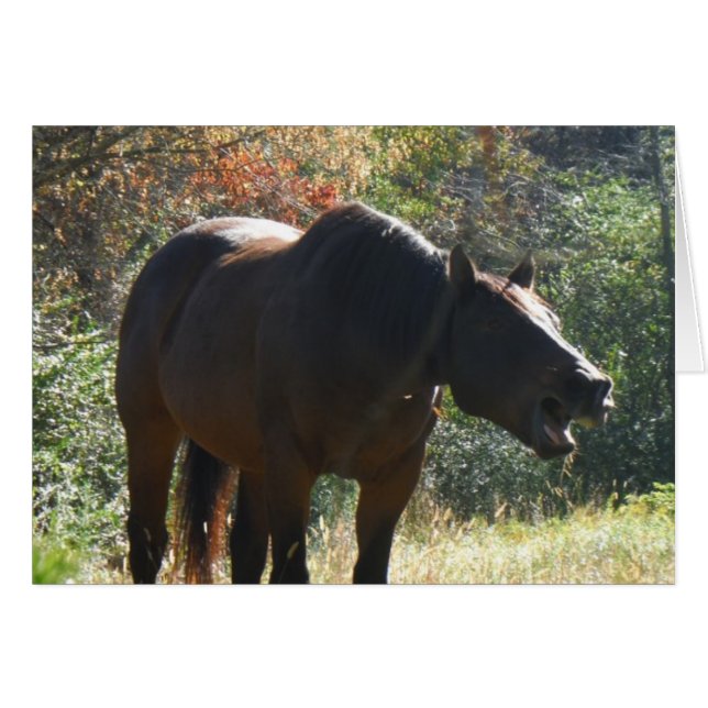 Cheval en automne (Devant horizontal)
