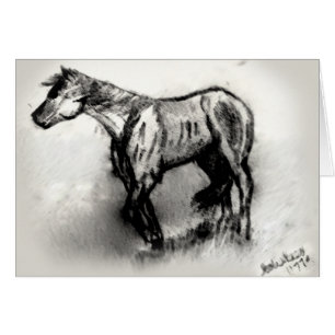 Cheval errant