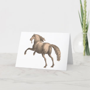 Cheval espagnol - Carte de voeux