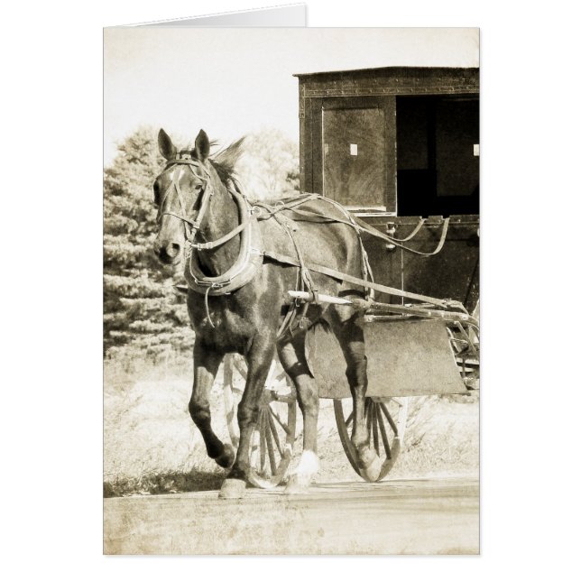 Cheval et Buggy Sepia (Devant)