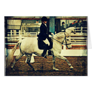 Cheval et cavalier
