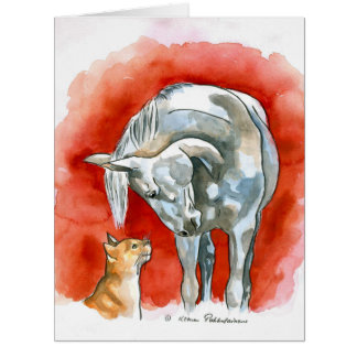 Cheval et chat