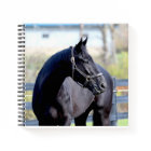 Cheval et lever du soleil au Carnet du lac
