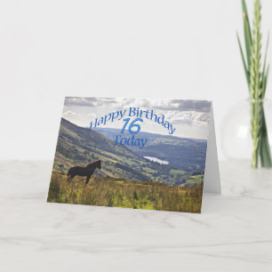 Cheval et paysage 16ème anniversaire carte