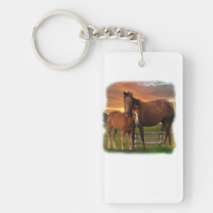 Cheval et poney