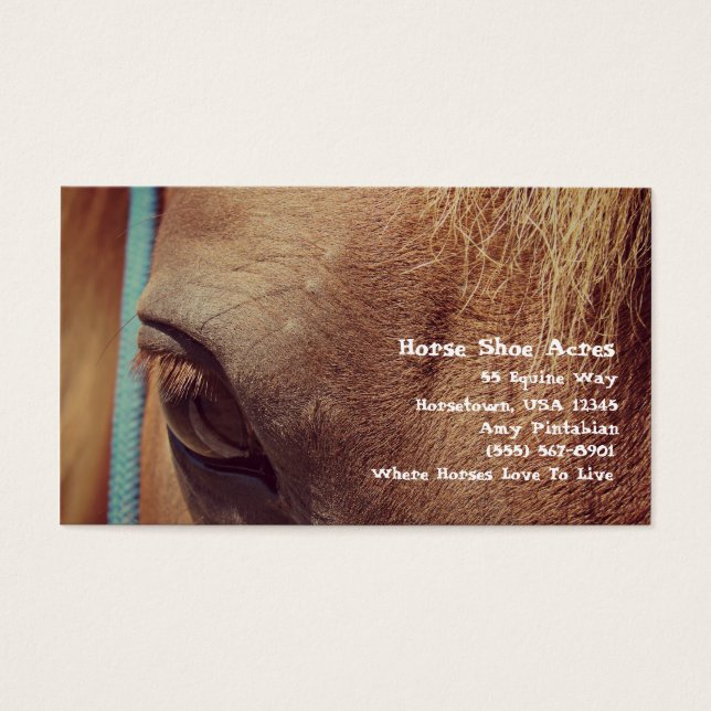 Cheval Faux Vintage Sorrel (Devant)