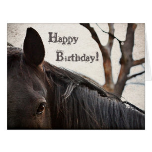 Cheval foncé Bonne carte d'anniversaire