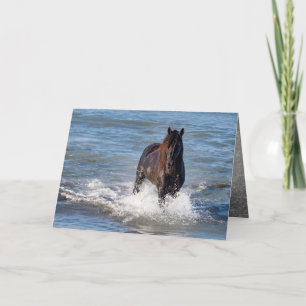 Cheval foncé roule sur la carte de voeux de l'eau