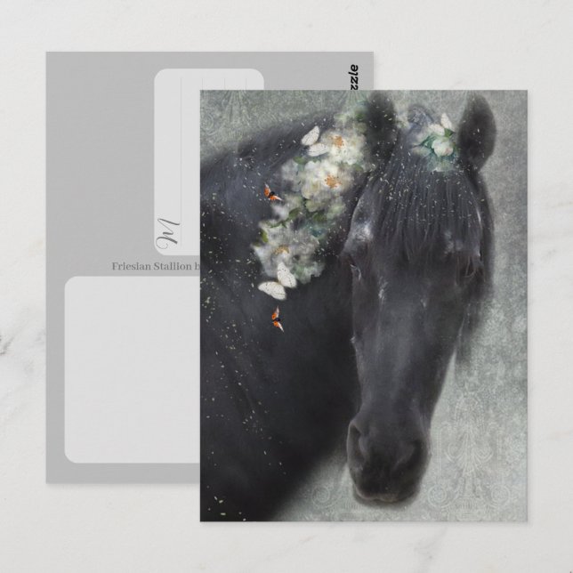 Cheval friésien - Carte postale (Devant / Derrière)