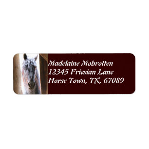 Cheval frison