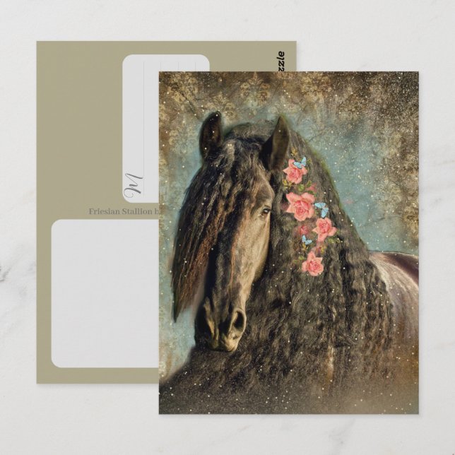 Cheval Frison - Carte postale (Devant / Derrière)