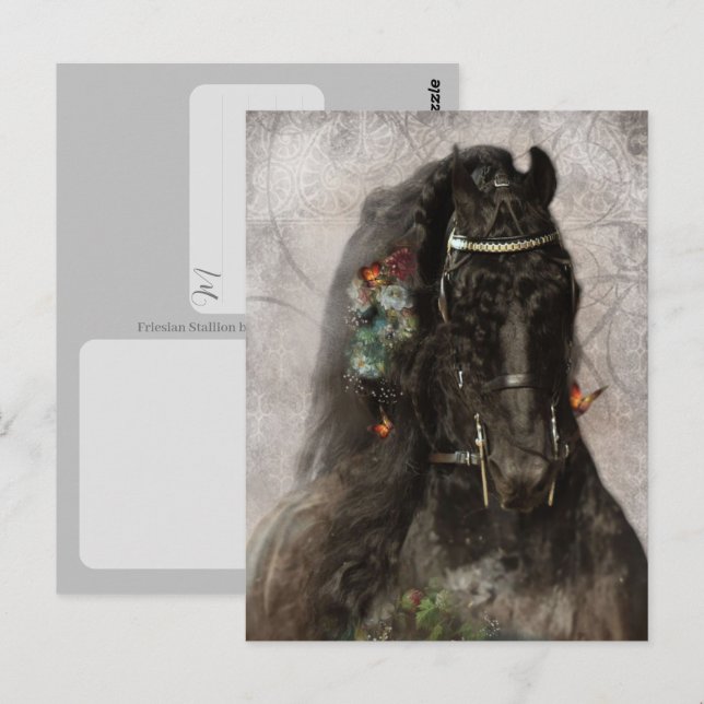 Cheval Frison - Carte postale (Devant / Derrière)