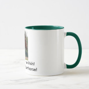 Cheval irlandais de sport : La chance O la tasse