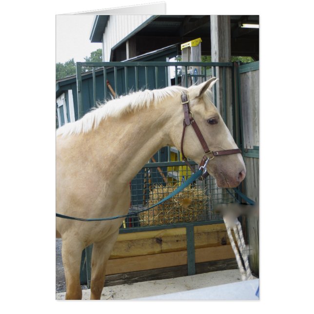 Cheval jaune (Devant)